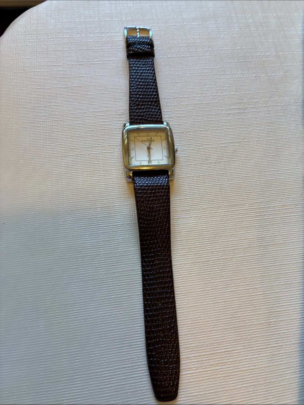 Skagen Women's Brown Leather-Textured Strap Watch with Silver Square Case
